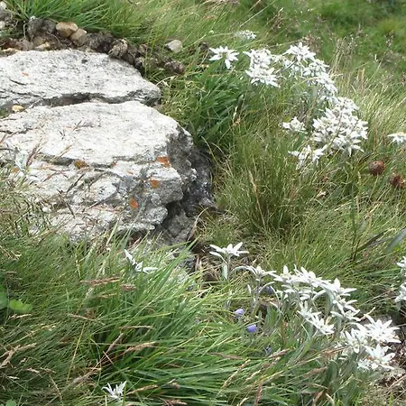 Zirbenhof Heiligenblut