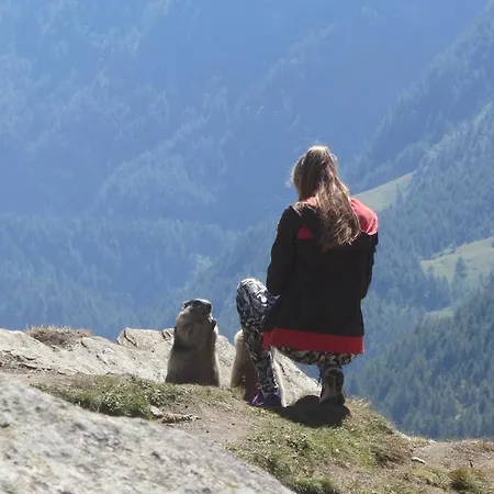 Gospodarstwo agroturystyczne Zirbenhof