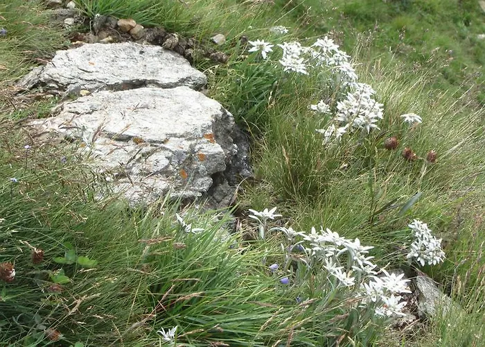 Zirbenhof Heiligenblut