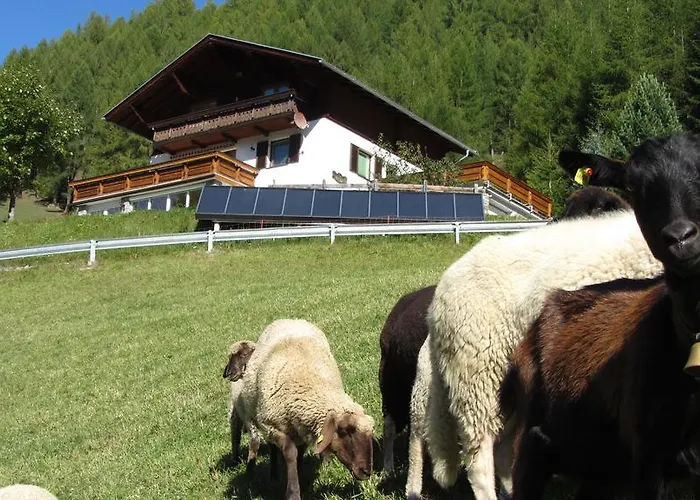 Farm stay Zirbenhof *